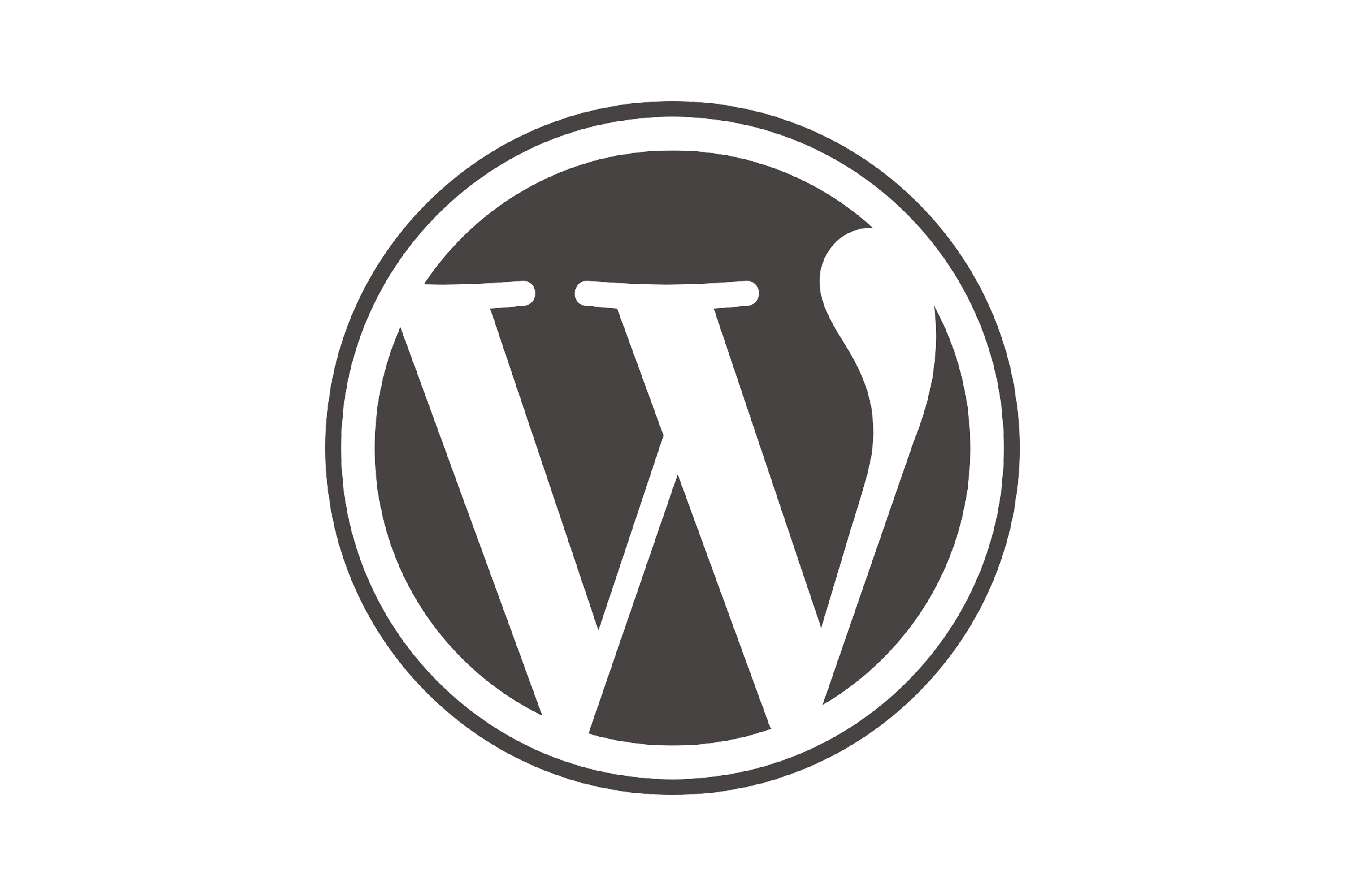 WordPress logo